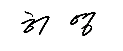 Chairman signature